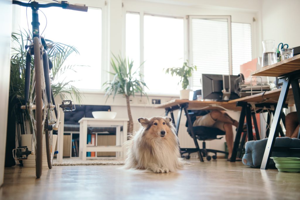 Büro im N4 © Joel Kernasenko Büro im N4